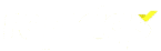 RapidQS